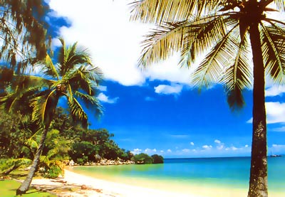 Whitsunday Island Beach, Great Barrier Reef Queensland Australia